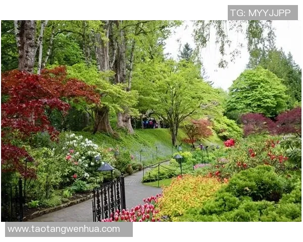 2017世界游戏比赛-世界之光耀战场 探寻2017世界游戏比赛的精彩瞬间-2017世界游戏比赛